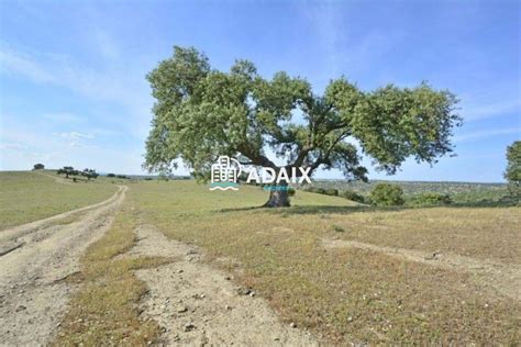 Properties for sale in Extremadura , Spain .